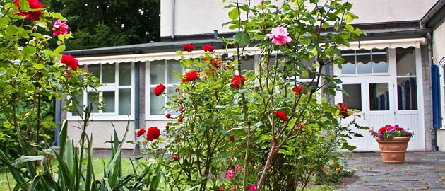 Rosen im Garten